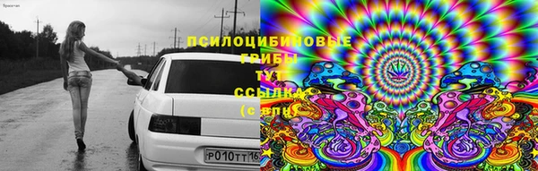 тгк Дмитров